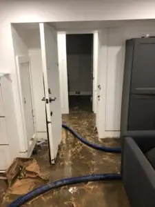 Sewage back up