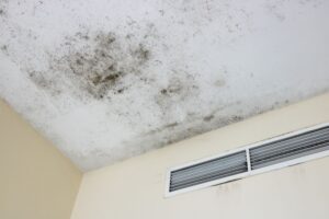 Mold from water damage on ceiling