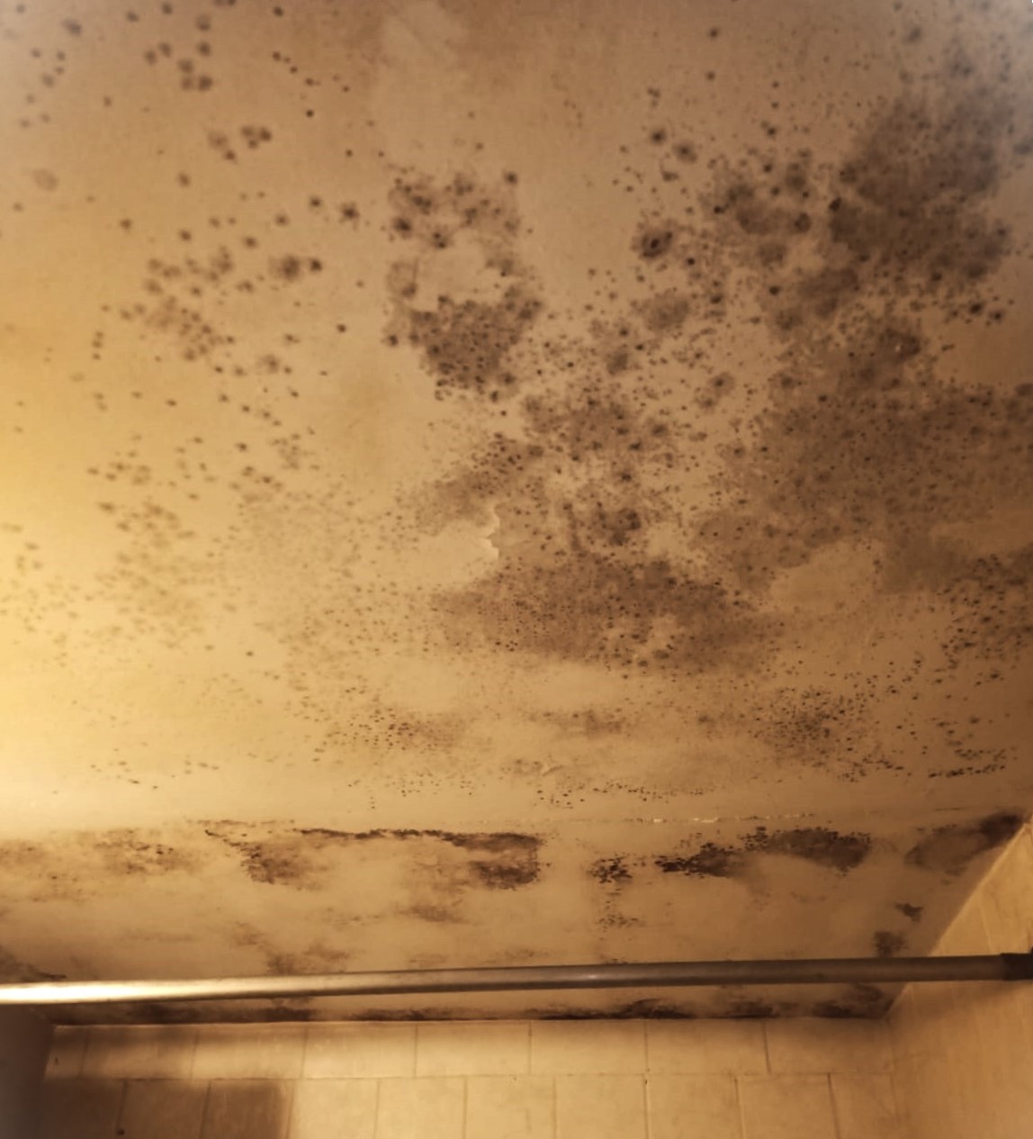 Mould damage inside a Toronto home — is mould covered by home insurance in Ontario