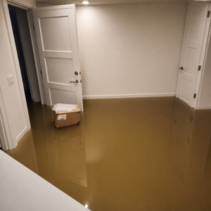 Toronto sewer backup and basement water damage